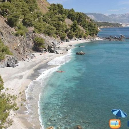 Loft Climatise "La Pinede", 50 M2, Tres Calme, 5 Mn A Pied Des Plages, Lit King Size La Seyne-sur-Mer Eksteriør bilde