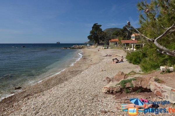Loft Climatise "La Pinede", 50 M2, Tres Calme, 5 Mn A Pied Des Plages, Lit King Size La Seyne-sur-Mer Eksteriør bilde