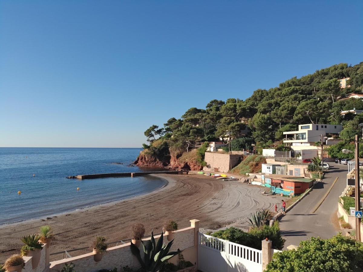 Loft Climatise "La Pinede", 50 M2, Tres Calme, 5 Mn A Pied Des Plages, Lit King Size La Seyne-sur-Mer Eksteriør bilde